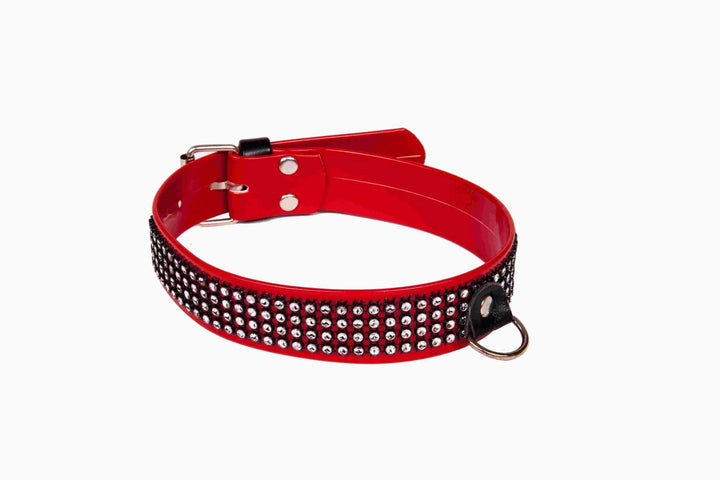 Obroża damska Whips Collection czerwona 3 cm - zdjęcie główne