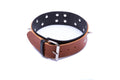 Obroża męska ze smyczą Whips Collection koniakowa